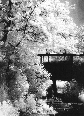 clicca per vedere la foto ingrandita